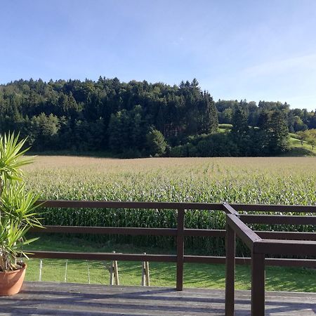 Kirchberg an der Raab Ferienhaus Am Bach מראה חיצוני תמונה