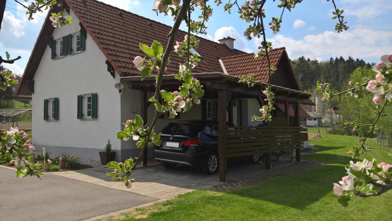 Kirchberg an der Raab Ferienhaus Am Bach מראה חיצוני תמונה