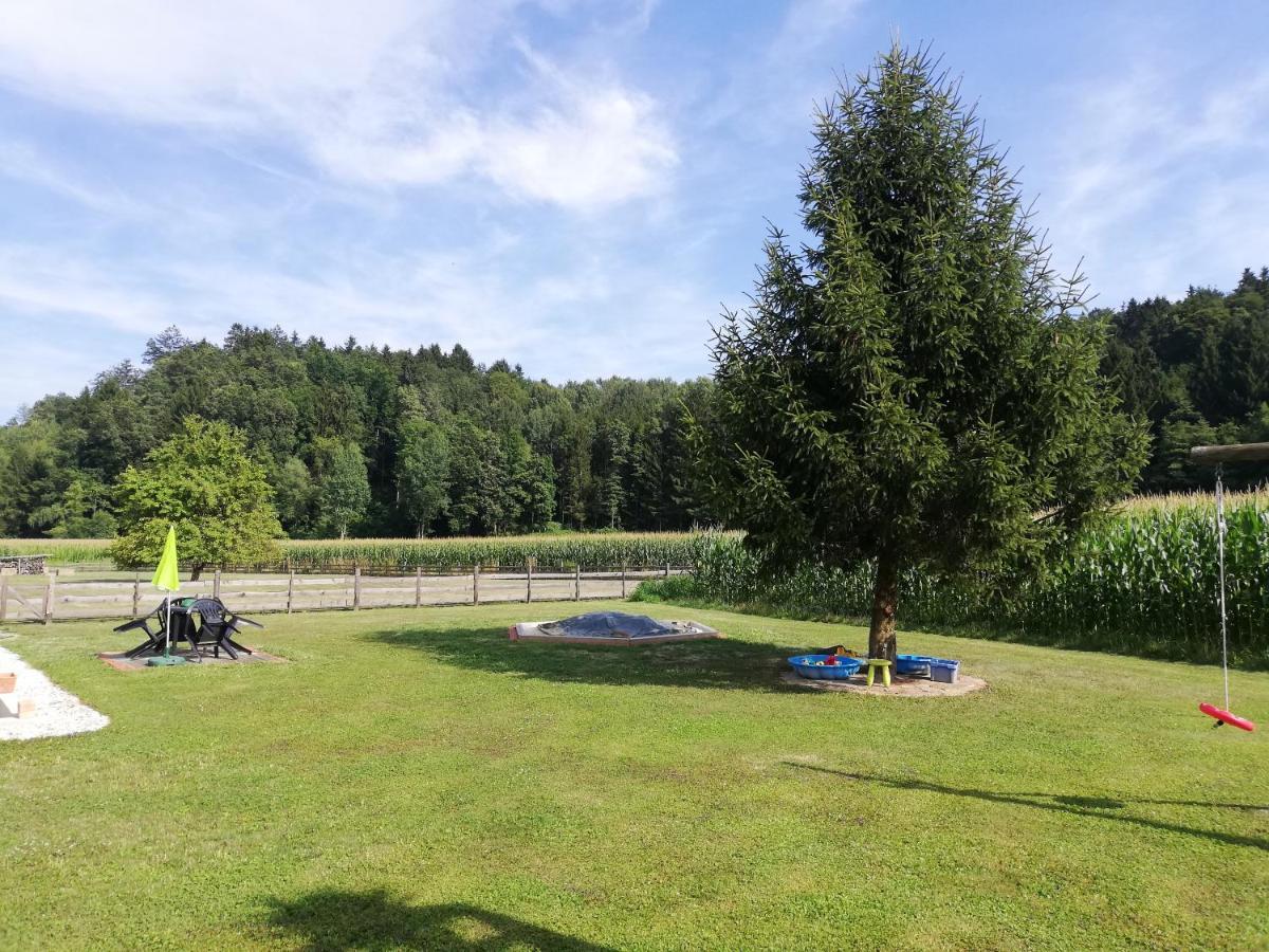 Kirchberg an der Raab Ferienhaus Am Bach מראה חיצוני תמונה